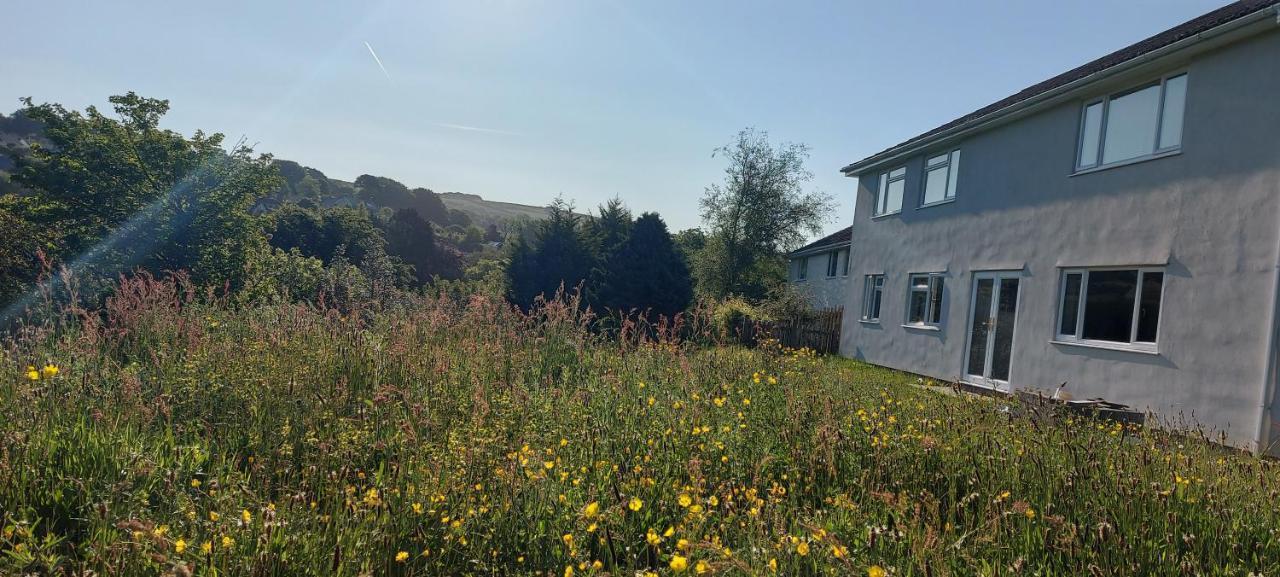Highfield House, Parracombe, Modern B&B Exteriör bild